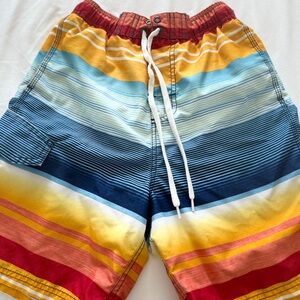 Colorful Striped Men's Swim Shorts